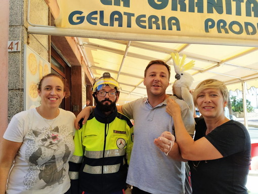 Ventimiglia: scappa dai proprietari e vola su una palma, il pappagallo Charlie salvato dalla Protezione civile