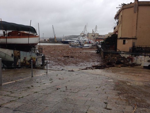 Melgrati (FI) chiede al capo della Protezione Civile di consentire i roghi della legna sulle spiagge