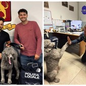 Ventimiglia, vagava tra le auto rischiando di essere investito: la polizia locale salva un cane (Foto) Ventimiglia, vagava tra le auto rischiando di essere investito: la polizia locale salva un cane (Foto)