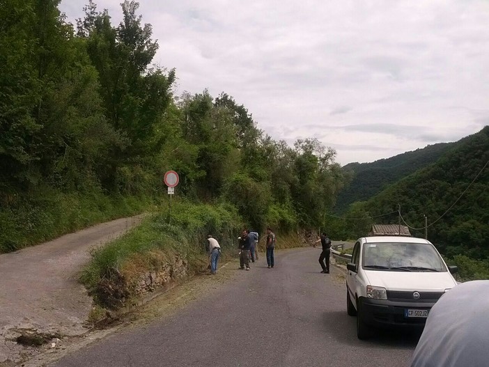 Pulita dalla Pro Loco di Rezzo con i volontari di Cenova e Lavina, strada di collegamento Rezzo-Statale 28