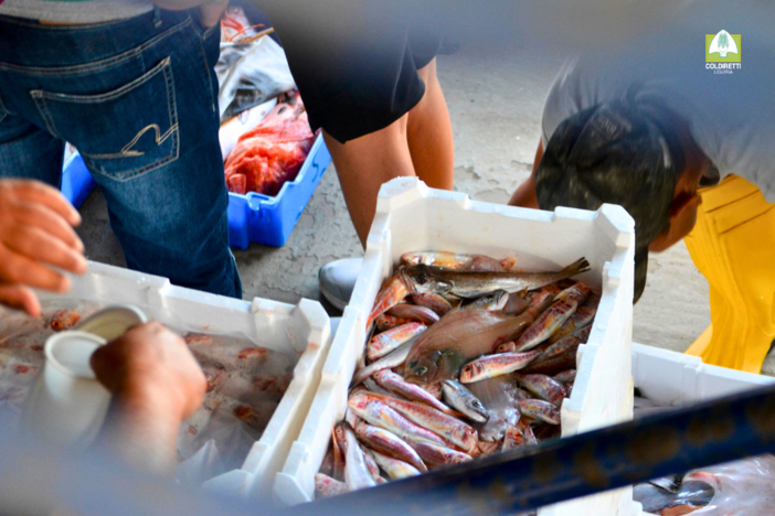 Dal fermo all’agrifish, Coldiretti Liguria: "Cambio di rotta fondamentale per il futuro delle marinerie" Dal fermo all’agrifish, Coldiretti Liguria: "Cambio di rotta fondamentale per il futuro delle marinerie"