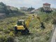 Vallecrosia, canne e vegetazione nel torrente: al via la pulizia del Verbone