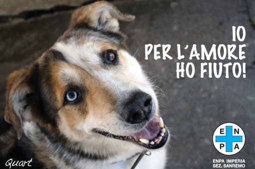 Sanremo: domani doppia iniziativa insieme agli ospiti a quattro zampe del rifugio Enpa Sanremo: domani doppia iniziativa insieme agli ospiti a quattro zampe del rifugio Enpa