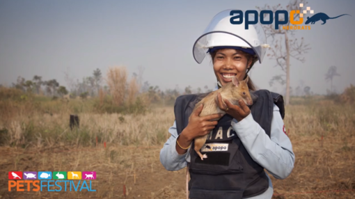 Aspettando Petsfestival: le video notizie che raccontano la mostra mercato più grande del settore