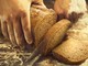 A Sanremobio sbarca e sbanca ‘Primus Pane’, il primo pane a lievitazione primordiale A Sanremobio sbarca e sbanca ‘Primus Pane’, il primo pane a lievitazione primordiale