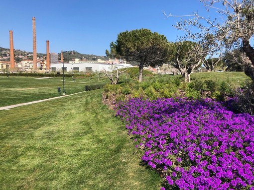 Imperia, il Comune vicino alla realizzazione del parco dell'energia: il mega progetto affidato alla Rti 'Enel Sole' Imperia, il Comune vicino alla realizzazione del parco dell'energia: il mega progetto affidato alla Rti 'Enel Sole'