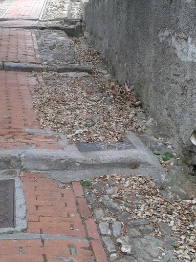 Seborga: poca pulizia delle vie del paese, la puntuale segnalazione di un nostro lettore Seborga: poca pulizia delle vie del paese, la puntuale segnalazione di un nostro lettore