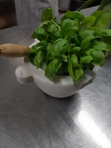 Settimana del pesto in tutta la regione: continua la raccolta firme che ha toccato quota 30mila Settimana del pesto in tutta la regione: continua la raccolta firme che ha toccato quota 30mila