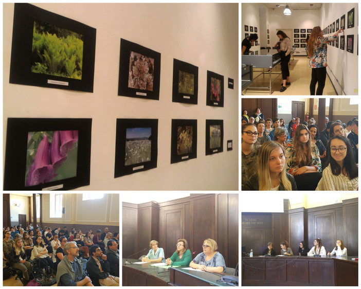 Imperia: 'Sites of Community Interest', presentata la mostra fotografica sul progetto Erasmus del Liceo Amoretti (foto e video) Imperia: 'Sites of Community Interest', presentata la mostra fotografica sul progetto Erasmus del Liceo Amoretti (foto e video)