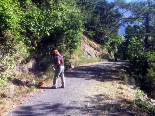 (Immagine generica d'archivio)