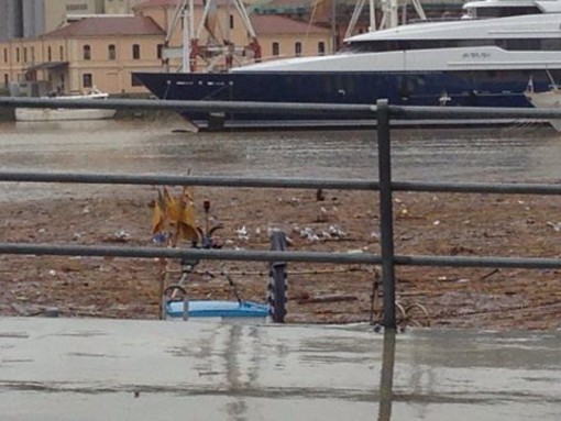 Canne e detriti al porto di Oneglia. Capacci: "Colpa di un grave errore progettuale commesso da un 'genio' " Canne e detriti al porto di Oneglia. Capacci: "Colpa di un grave errore progettuale commesso da un 'genio' "