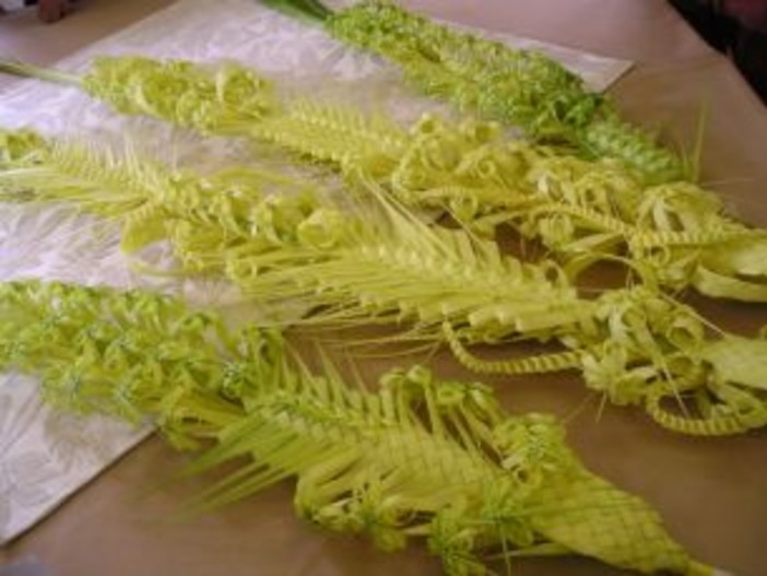 Si avvicina la 'Domenica delle Palme': a Bordighera anche quest'anno l'arte dei 'Parmureli'