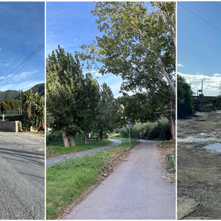 Taggia: mesi di lavori per via Argine Sinistro tra alberi da abbattere e problemi di viabilità