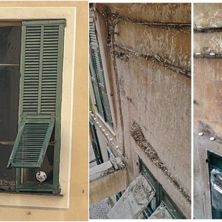 Camporosso, troppi piccioni nel centro storico: intervento sperimentale in via della Chiesa (Foto) Camporosso, troppi piccioni nel centro storico: intervento sperimentale in via della Chiesa (Foto)