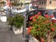 Sanremo: installati raccoglitori per mozziconi di sigaretta, il plauso del 'Consolato del Mare' all'Amministrazione Comunale