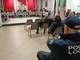 Polizia locale, approvata convenzione tra Vallecrosia e San Biagio della Cima
