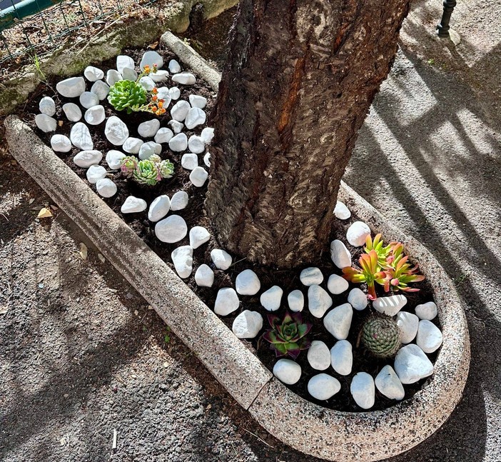 Castel Vittorio più accogliente: fiori e piante abbelliscono il borgo (Foto)