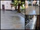 Vallecrosia, decoro e vivibilità: intervento di pulizia nel centro storico (Foto) Vallecrosia, decoro e vivibilità: intervento di pulizia nel centro storico (Foto)