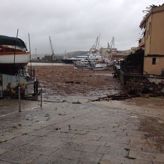 Melgrati (FI) chiede al capo della Protezione Civile di consentire i roghi della legna sulle spiagge