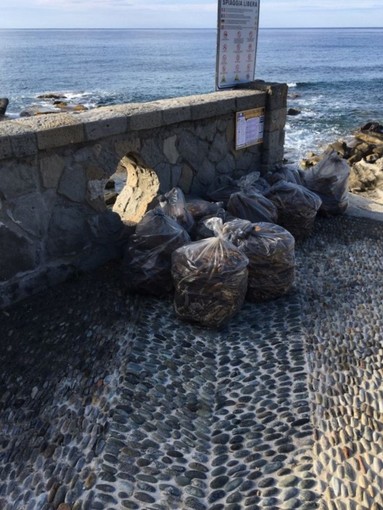Bordighera: con l'ausilio di volontari, continuano le attività per la pulizia ed il ripristino delle spiagge Bordighera: con l'ausilio di volontari, continuano le attività per la pulizia ed il ripristino delle spiagge