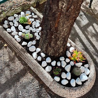 Castel Vittorio più accogliente: fiori e piante abbelliscono il borgo (Foto)