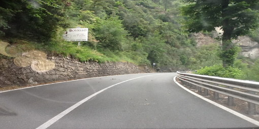 Il Prefetto delle Alpi Marittime 'stoppa' l'ordinanza contro il passaggio dei Tir sulla Statale 20 della Val Roya Il Prefetto delle Alpi Marittime 'stoppa' l'ordinanza contro il passaggio dei Tir sulla Statale 20 della Val Roya