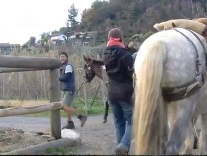 A spasso per l'Europa in sella ad un cavallo, fanno tappa a San Bartolomeo al Mare