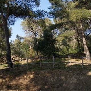 Insémme a Zinzanâ: a Cervo per promuovere i punti panoramici della Riviera dei Fiori e conoscere il Parco Comunale del Ciapà