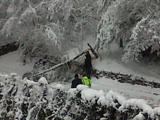 San Romolo: pericolo scongiurato, rimosso da alcuni residenti l'albero finito su un cavo di corrente San Romolo: pericolo scongiurato, rimosso da alcuni residenti l'albero finito su un cavo di corrente
