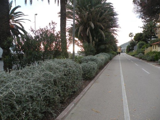 Immagine generica della pista ciclabile