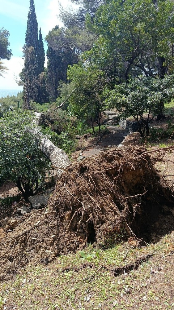 Foto di Gianni Cappiello