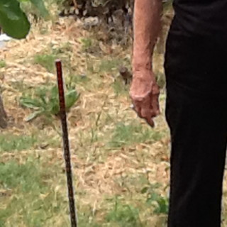 I picchetti piantati dagli operai I picchetti piantati dagli operai