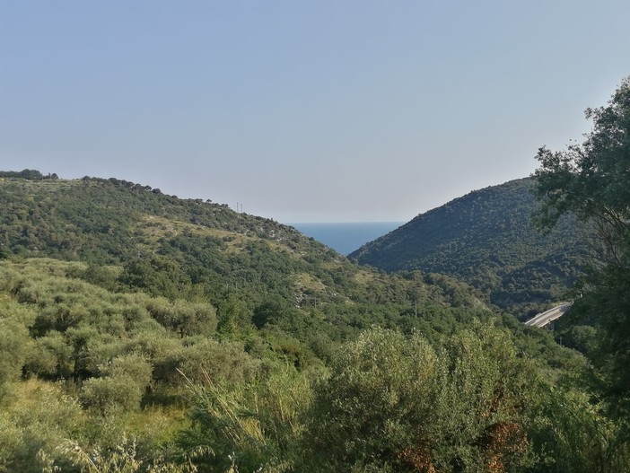 Entroterra, approvato in Giunta disegno di legge per favorire nuove aperture e consolidare quelle esistenti Entroterra, approvato in Giunta disegno di legge per favorire nuove aperture e consolidare quelle esistenti