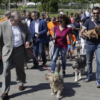 Elezioni comunali a Imperia: passeggiata con i cani al parco urbano per il candidato Sindaco del centrodestra Luca Lanteri