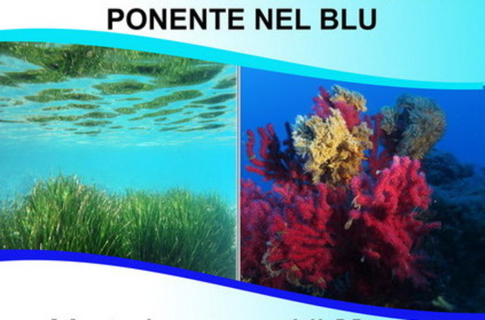 San Lorenzo al Mare: domani la rassegna ‘Ponente nel Blu’, appuntamento con la rassegna ideata e promossa dall'Associazione InfoRmare San Lorenzo al Mare: domani la rassegna ‘Ponente nel Blu’, appuntamento con la rassegna ideata e promossa dall'Associazione InfoRmare