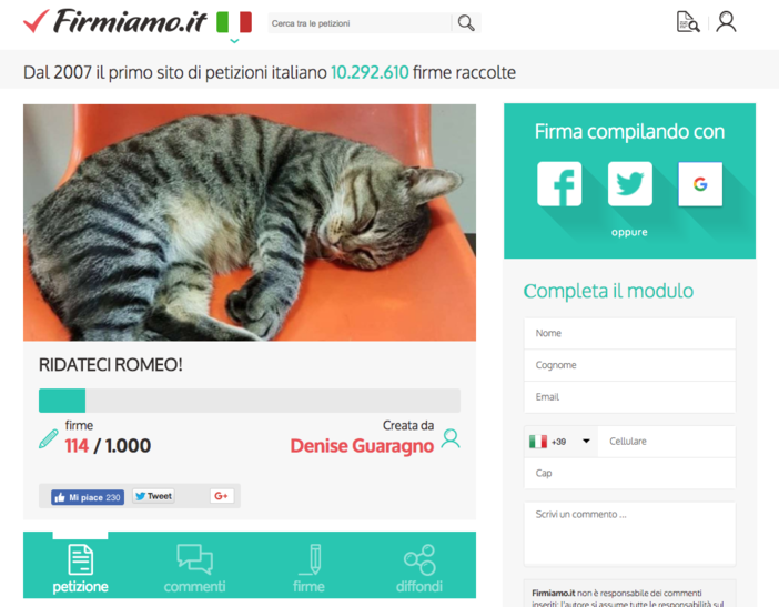 Sanremo: su Firmiamo.it una raccolta firme per chiedere che il gatto Romeo torni tra le corsie dell'Ospedale Sanremo: su Firmiamo.it una raccolta firme per chiedere che il gatto Romeo torni tra le corsie dell'Ospedale