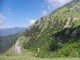 I cardi selvatici, croce e delizia della campagna ligure nel racconto del nostro lettore Pierluigi Casalino I cardi selvatici, croce e delizia della campagna ligure nel racconto del nostro lettore Pierluigi Casalino