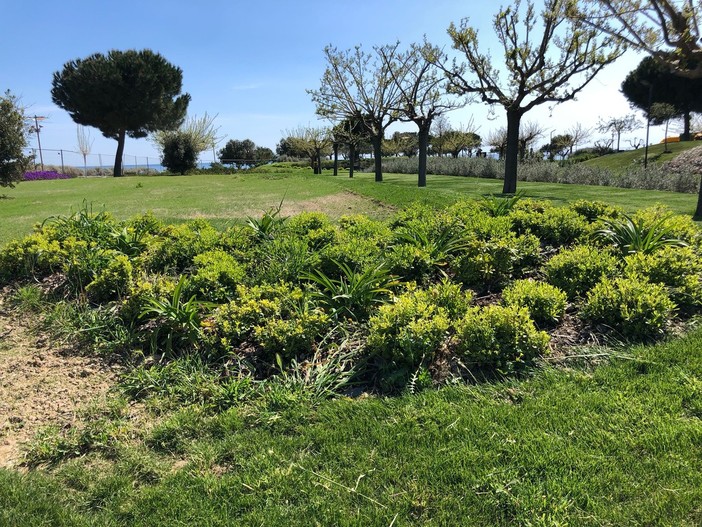 Imperia Rinasce: "Parco urbano paradiso del birdwatching, opportunità da valorizzare"