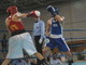 Domani al Palazzetto dello Sport di Imperia incontro di boxe Memorial 'Filippo Paleari' insieme alla Lilt