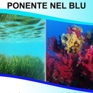 San Lorenzo al Mare: domani la rassegna ‘Ponente nel Blu’, appuntamento con la rassegna ideata e promossa dall'Associazione InfoRmare