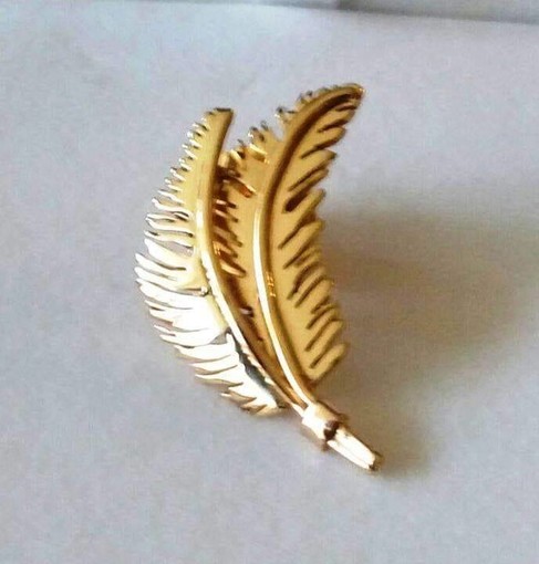 Bordighera, Parmurelu d’Oru 2025: la premiazione sarà il 13 dicembre Bordighera, Parmurelu d’Oru 2025: la premiazione sarà il 13 dicembre