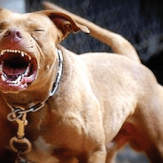 Foto d'archivio Foto d'archivio