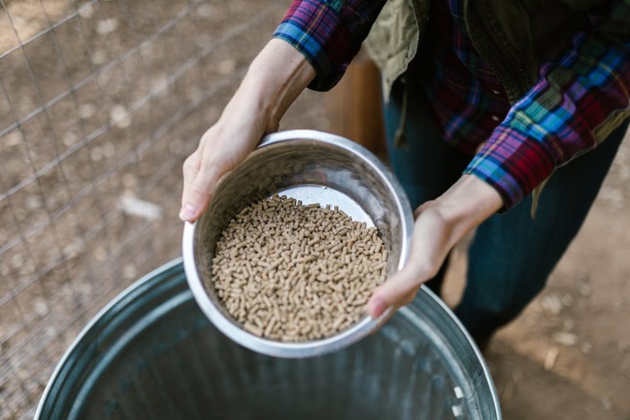 Legna o pellet? Guida pratica per scegliere il sistema di riscaldamento giusto per la tua casa Legna o pellet? Guida pratica per scegliere il sistema di riscaldamento giusto per la tua casa