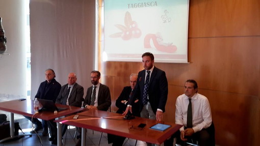 Blindare l‘oliva taggiasca del ponente ligure: Alessandro Piana (Lega Nord) &quot;Occorre tutelare e garantire uno dei nostri prodotti di eccellenza&quot;