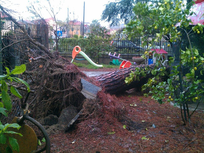 ringraziamo un lettore per le foto inviateci dal luogo dell'accaduto