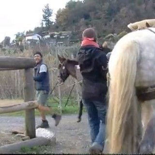 A spasso per l'Europa in sella ad un cavallo, fanno tappa a San Bartolomeo al Mare
