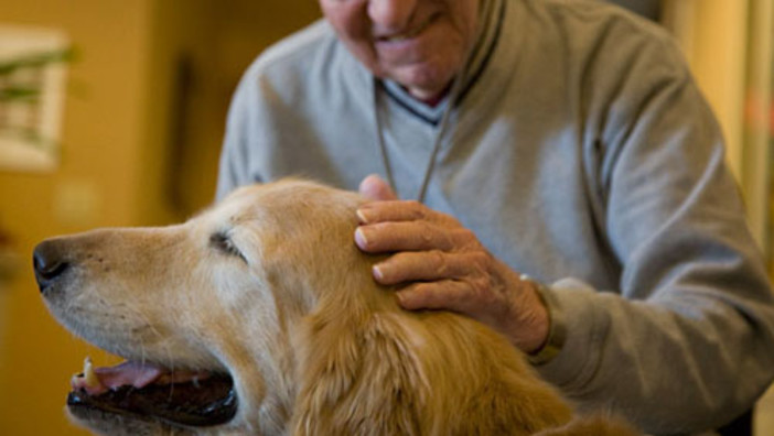 Giornata internazionale diritti animali: Regione Liguria promuove l’adozione consapevole e la Pet Therapy Giornata internazionale diritti animali: Regione Liguria promuove l’adozione consapevole e la Pet Therapy