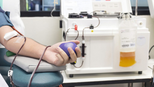 Coronavirus, Avis Liguria: "Plasma? Sì, grazie"
