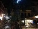 Arma di Taggia: eucaliptus di piazza Chierotti, ampliata la recinzione di sicurezza e i cittadini chiedono spiegazioni Arma di Taggia: eucaliptus di piazza Chierotti, ampliata la recinzione di sicurezza e i cittadini chiedono spiegazioni