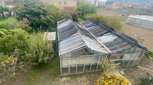 Progetto "Un seme dopo di noi", il Comune di San Bartolomeo al Mare partner di ANFFAS nel crowdfunding Progetto "Un seme dopo di noi", il Comune di San Bartolomeo al Mare partner di ANFFAS nel crowdfunding